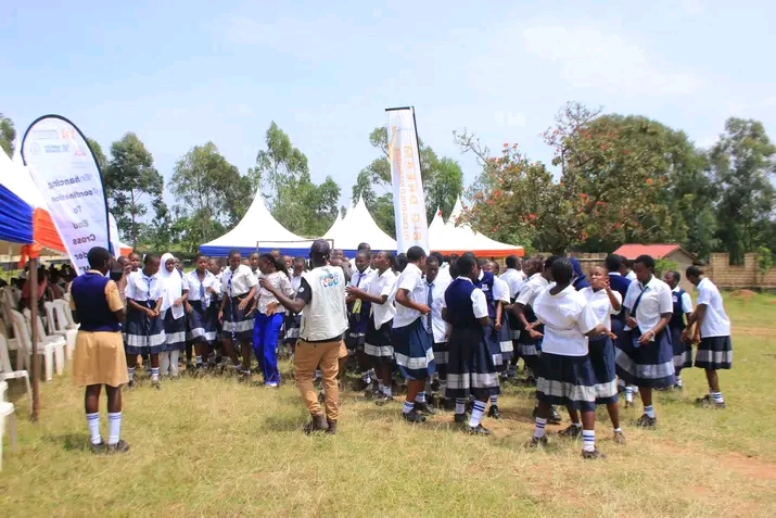 School Mentorship Sessions